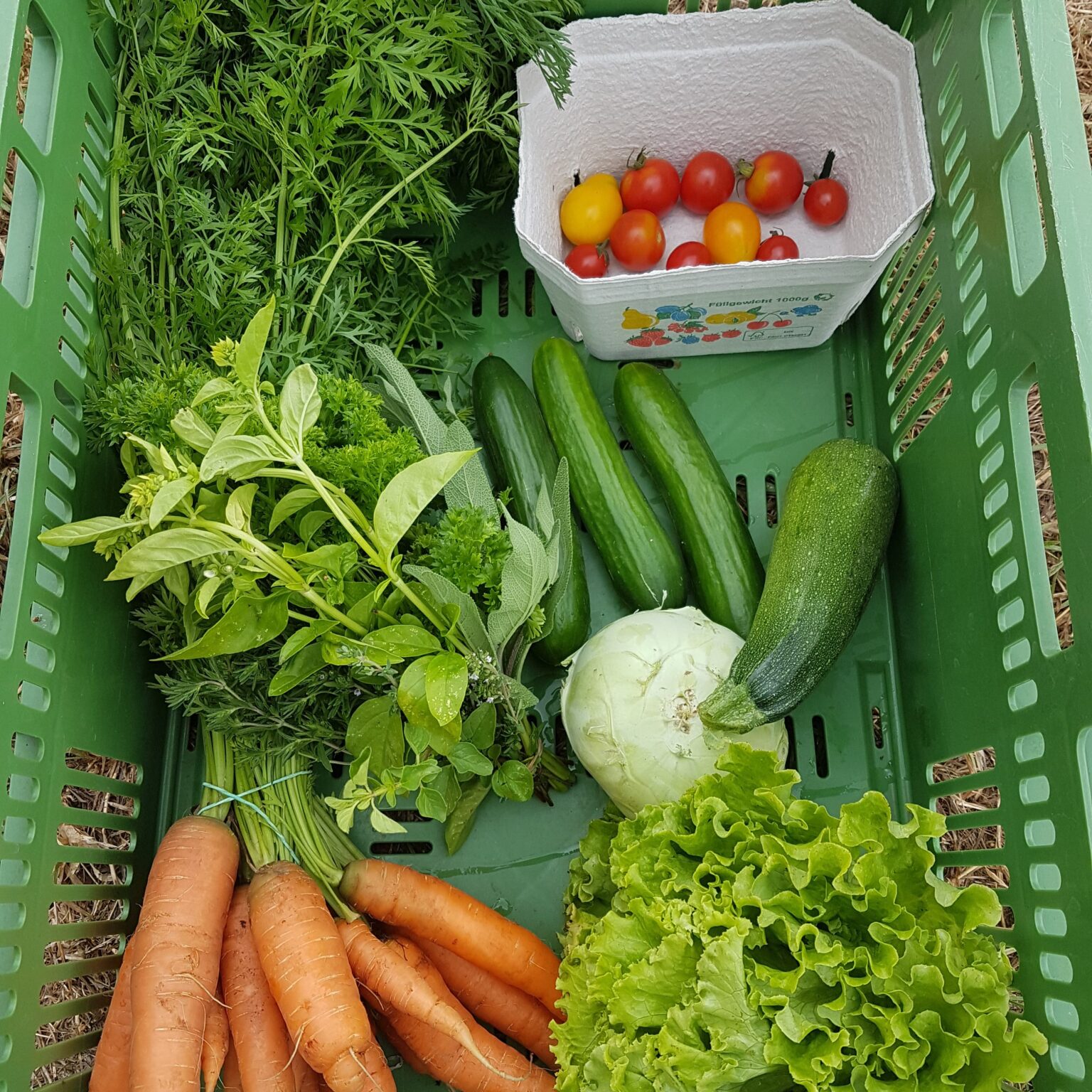 Gemüsekiste, Gemüse, Möhren, Gurken, Zucchini, Tomaten, Kohlrabi, Salat, Kräuter